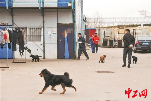 a4782b5ea90f84ffc8c1e9352c971d2f