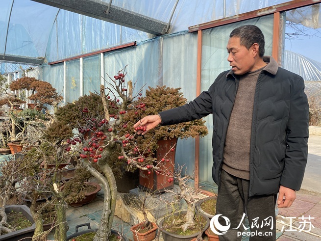 马明清在介绍自家盆景。人民网 杨维琼摄