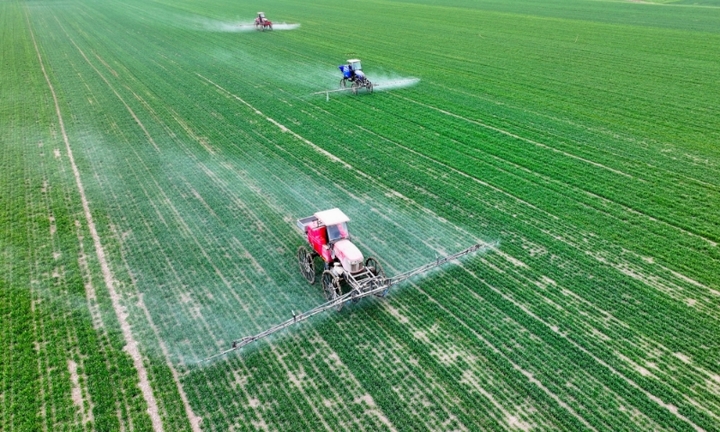 2024年2月18日,安徽省亳州市,利辛县纪王场乡孙老家村麦田,农民驾驶自走式高杆喷雾机对小麦进行喷药作业。