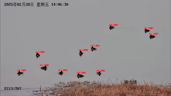 微信图片_20250305122209.png