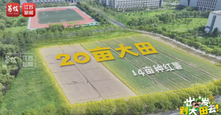 公路旁的草地上
描述已自动生成