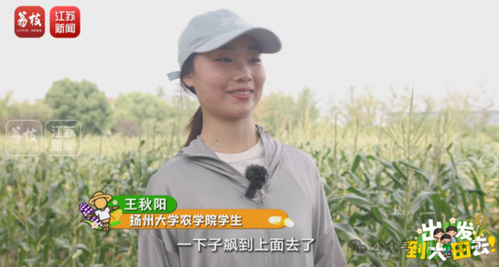 男人戴着帽子
描述已自动生成