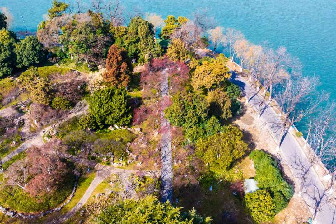 报春！南京拿下全国第一