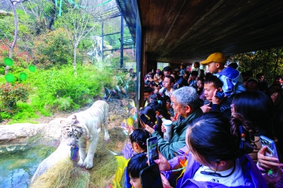 春假期间，南京红山森林动物园发放共计4.5万张免费门票，邀请学生们免费游玩。