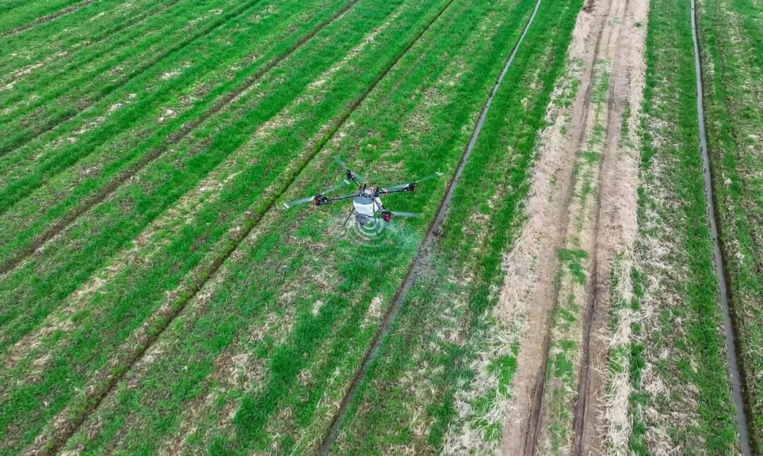 在南京市六合区，一架植保无人机正在施肥作业。