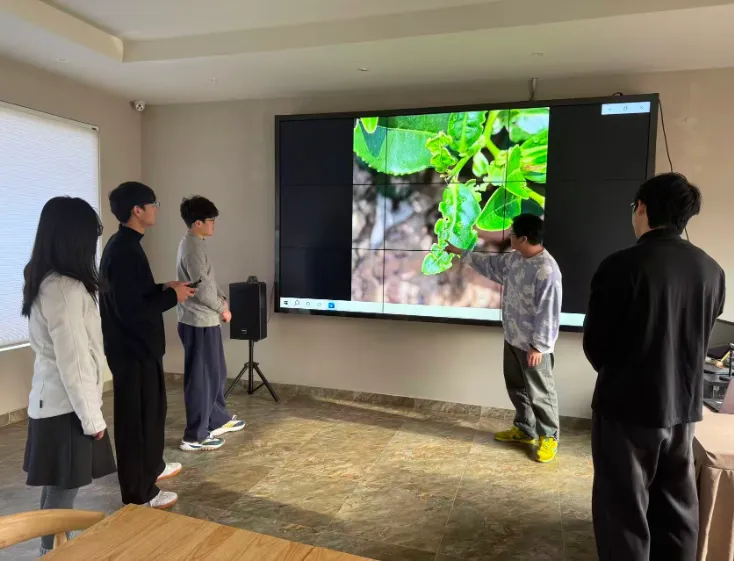 在南京溧水月牙湖生态茶园，南京林业大学的学生们正在准备一场特别的“空中巡检”。