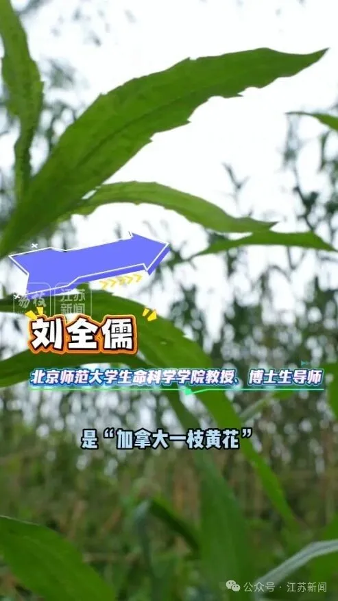 22微信图片_20260429215924_1390_2