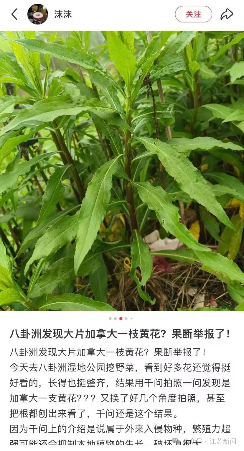 1微信图片_20260430120532_1397_2
