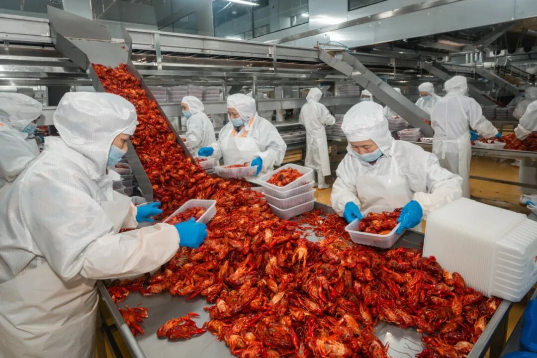 20260527固城湖食品深加工项目生产DSC_2389-已增强-降噪.jpg