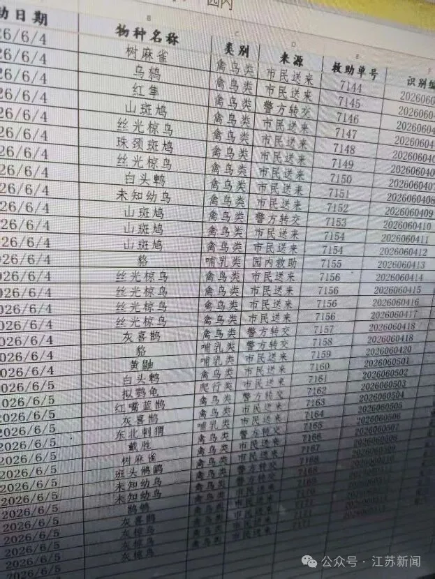 D:\用户目录\xwechat_files\wxid_1p6na81f7v6s12_3717\temp\RWTemp\2026-06\4fc00f1d4c3995ad41ca5263e3b6d31f.jpg